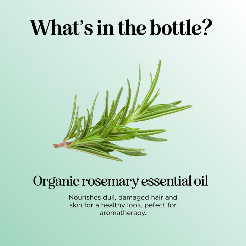 Maple Holistics USDA Organic Rosemary Essential Oil for Hair, Skin, DIY and more rosemary hair Haircare Hydrating rosemary hairtreatment