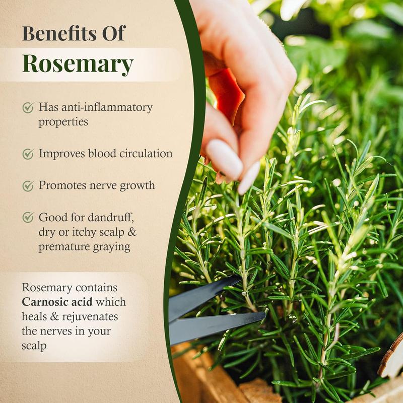 Rosemary Hair Growth Scalp Spray