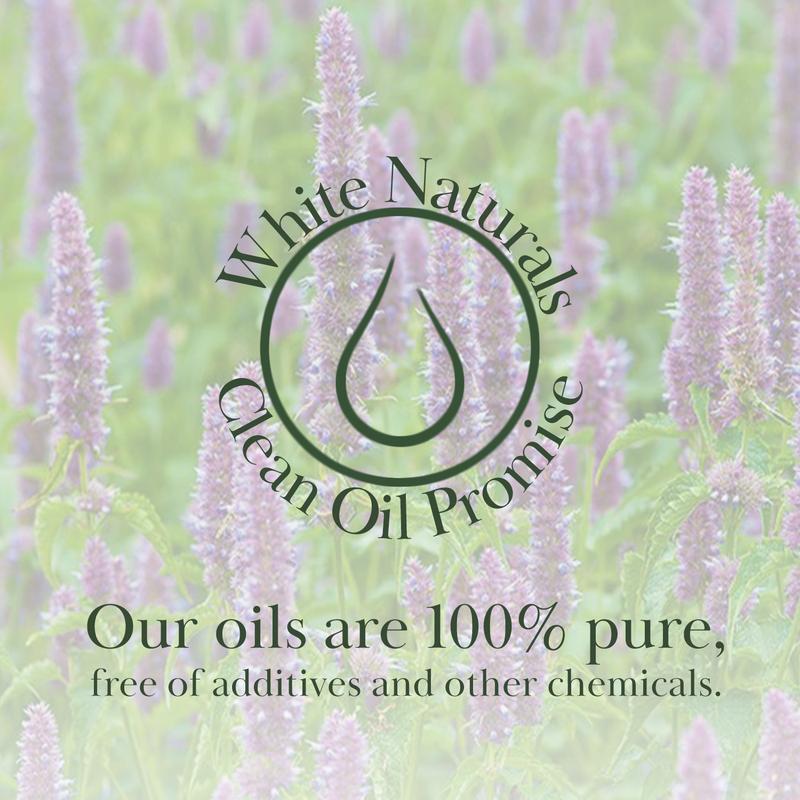 Patchouli Essential Oil – 100% Pure & Natural Patchouli Oil, Earthy & Grounding Aroma, Ideal for Aromatherapy, Skin Care & DIY Projects, 1oz